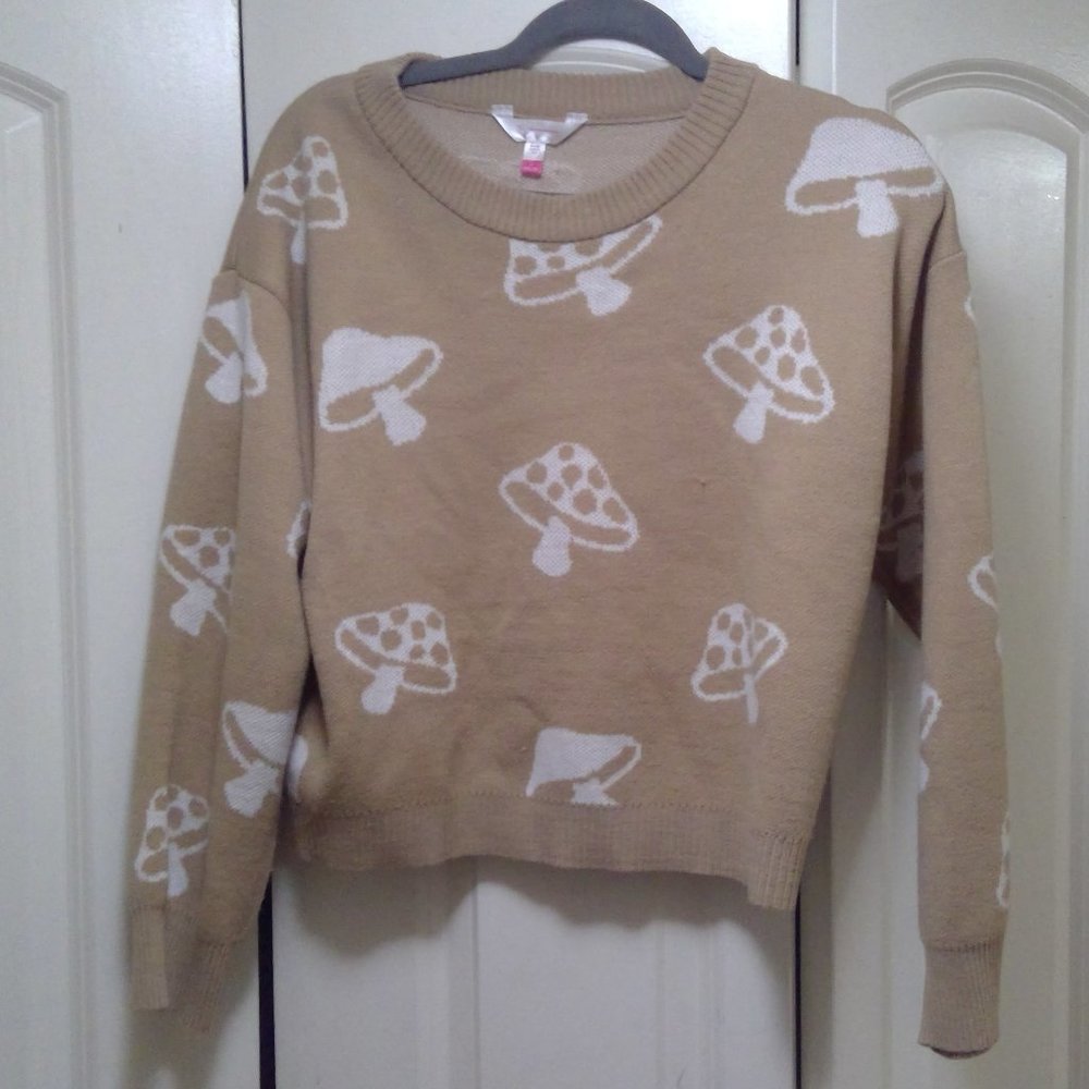 mushroom tan sweater